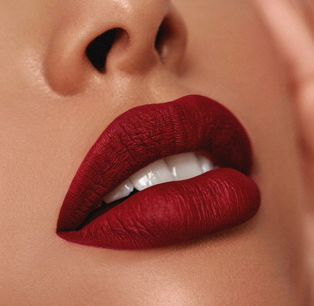 Labial Matte “Plum Bite”