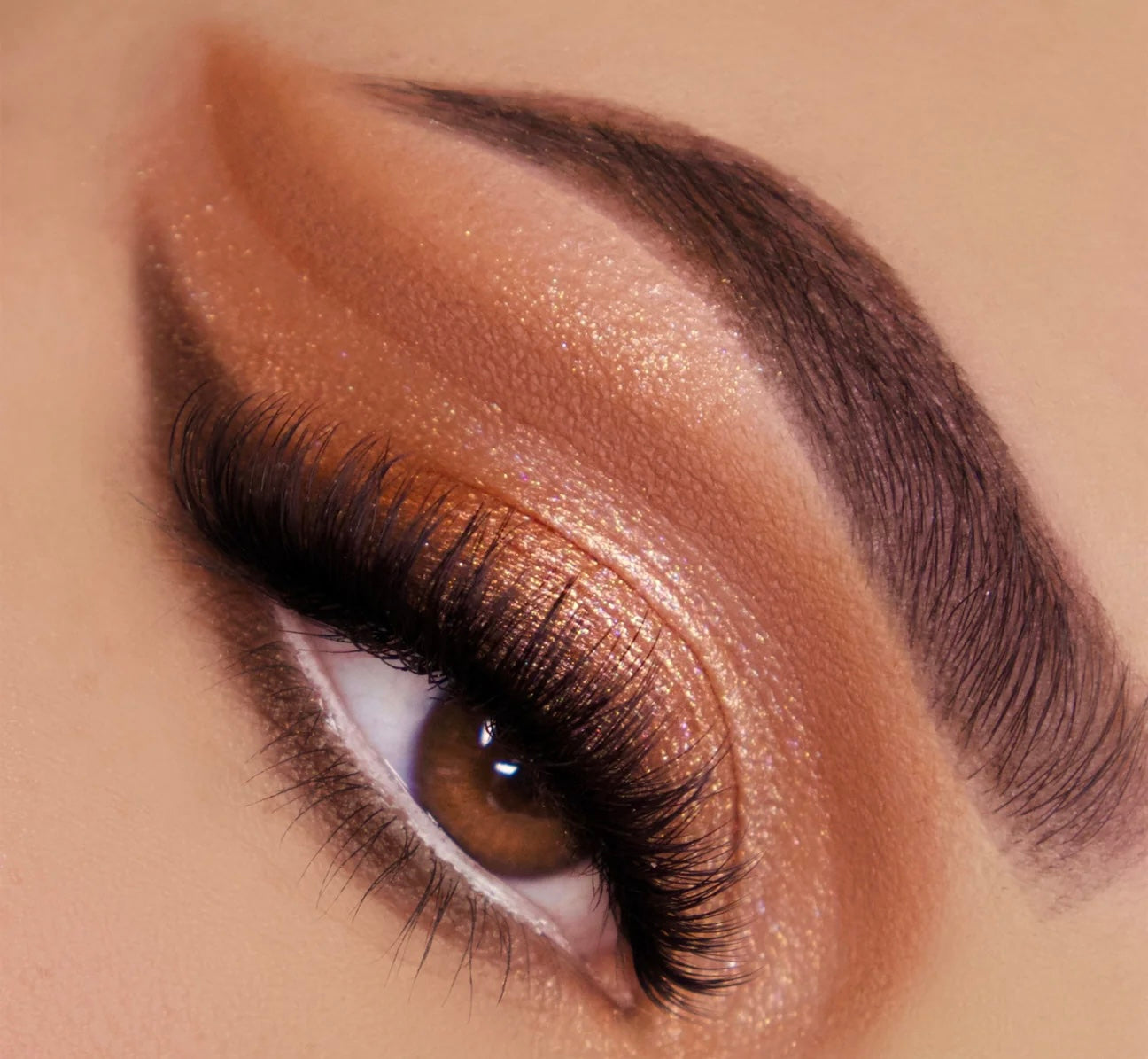 Paleta Sombra “Chasing Eternity “