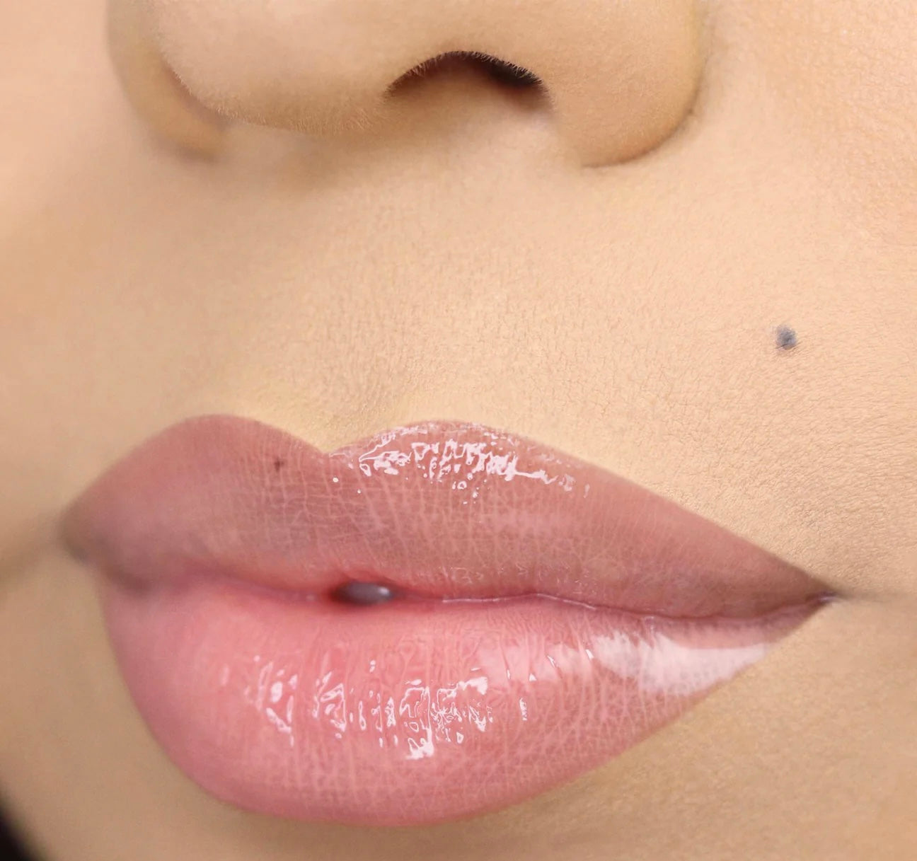 Lip Gloss ( 04 Fancy )