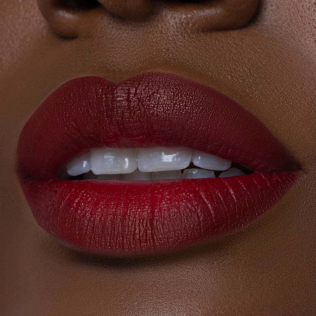 Elfie Lip Duos “ Elf Made Me Do It “