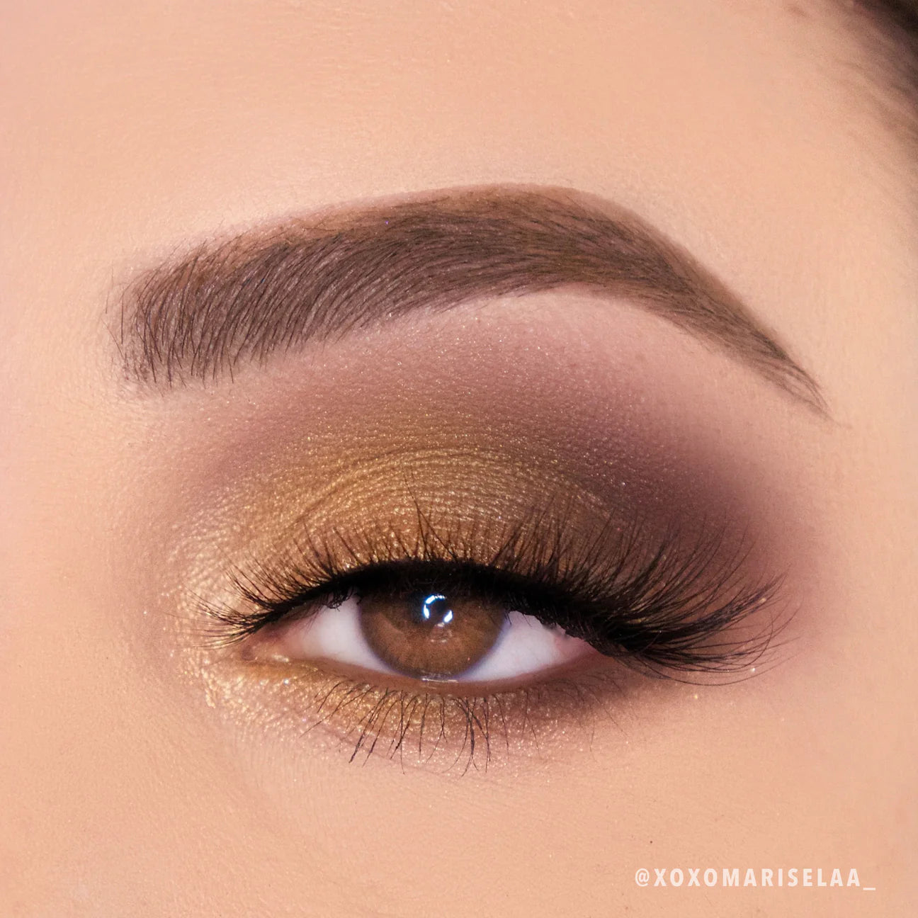 Paleta de Sombras “Golden Treasure”