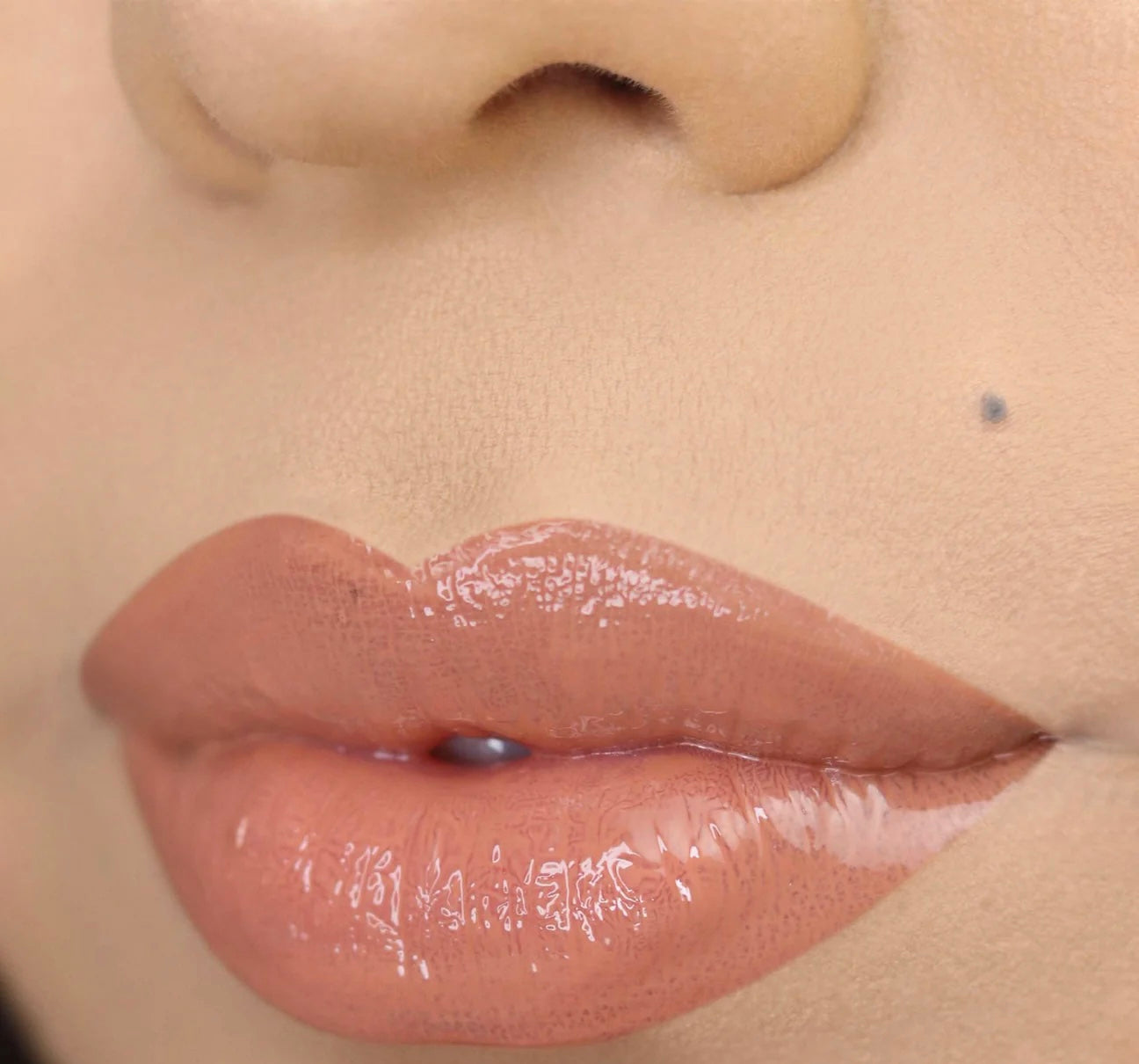 Lip Gloss (07 Next To You )