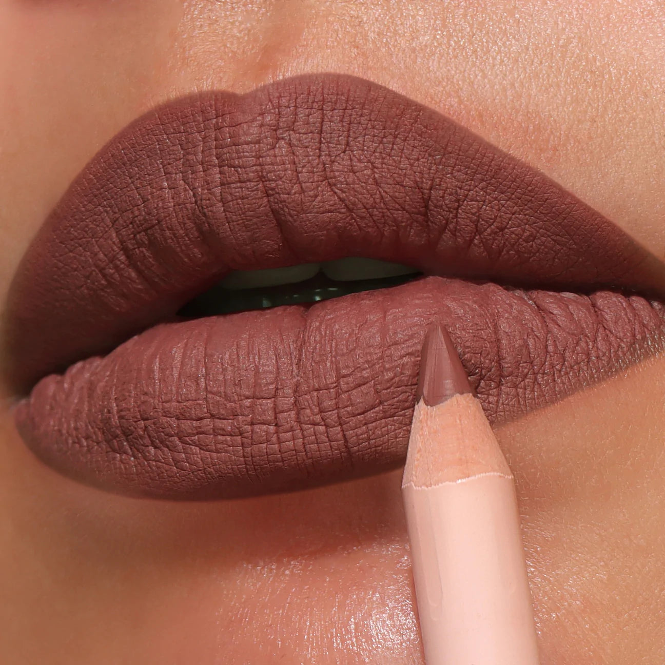 Lápiz De Labios (008 Terracotta )
