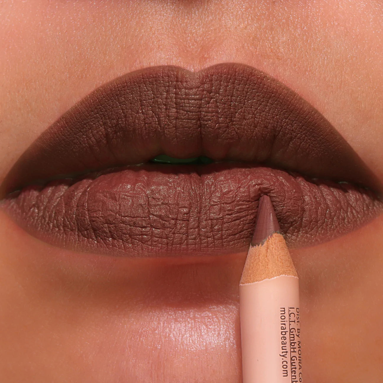 Lápiz De Labios ( 010 Sandy Brown )